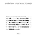 PROGNOSTIC,. SCREENING AND TREATMENT METHODS AND AGENTS FOR TREATMENT OF     METASTASIS AND INFLAMMATION USING 5T4 ONCOFOETAL GLYCOPROTEIN diagram and image