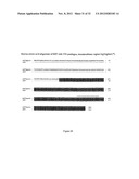 PROGNOSTIC,. SCREENING AND TREATMENT METHODS AND AGENTS FOR TREATMENT OF     METASTASIS AND INFLAMMATION USING 5T4 ONCOFOETAL GLYCOPROTEIN diagram and image