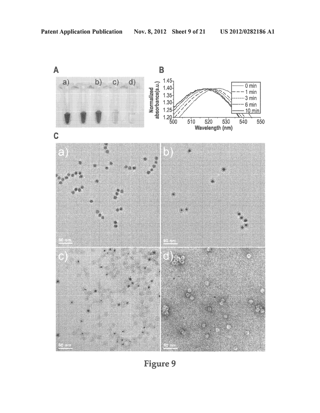 TEMPLATED NANOCONJUGATES - diagram, schematic, and image 10