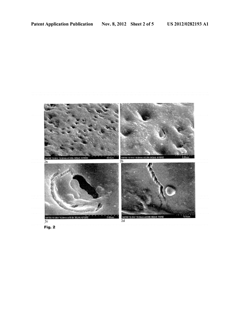 AGENT FOR THE PREVENTION AND TREATMENT OF THE INITIAL DENTAL CARIES - diagram, schematic, and image 03