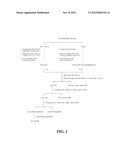 TOPICAL SKIN CARE FORMULATIONS COMPRISING PLANT EXTRACTS diagram and image