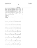 FOOT AND MOUTH DISEASE VIRUS (FMDV) CONSENSUS PROTEINS, CODING SEQUENCES     THEREFOR AND VACCINES MADE THEREFROM diagram and image