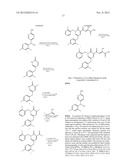 PYRIDINONE HYDROXYCYCLOPENTYL CARBOXAMIDES: HIV INTEGRASE INHIBITORS WITH     THERAPEUTIC APPLICATIONS diagram and image