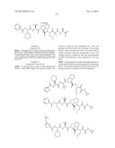 PEPTIDOMIMETIC PROTEASE INHIBITORS diagram and image