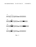 METHOD AND COMPOSITION FOR CREATING CONDITIONAL LETHALITY FOR VIRUS     MUTANTS AND FOR ELIMINATING THE VIABILITY OF AN EUKARYOTIC CELL diagram and image