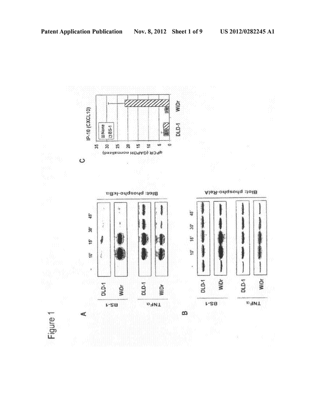 BIOMARKERS AND ASSAYS FOR THE TREATMENT OF CANCER - diagram, schematic, and image 02