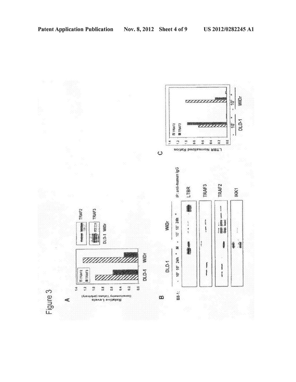 BIOMARKERS AND ASSAYS FOR THE TREATMENT OF CANCER - diagram, schematic, and image 05