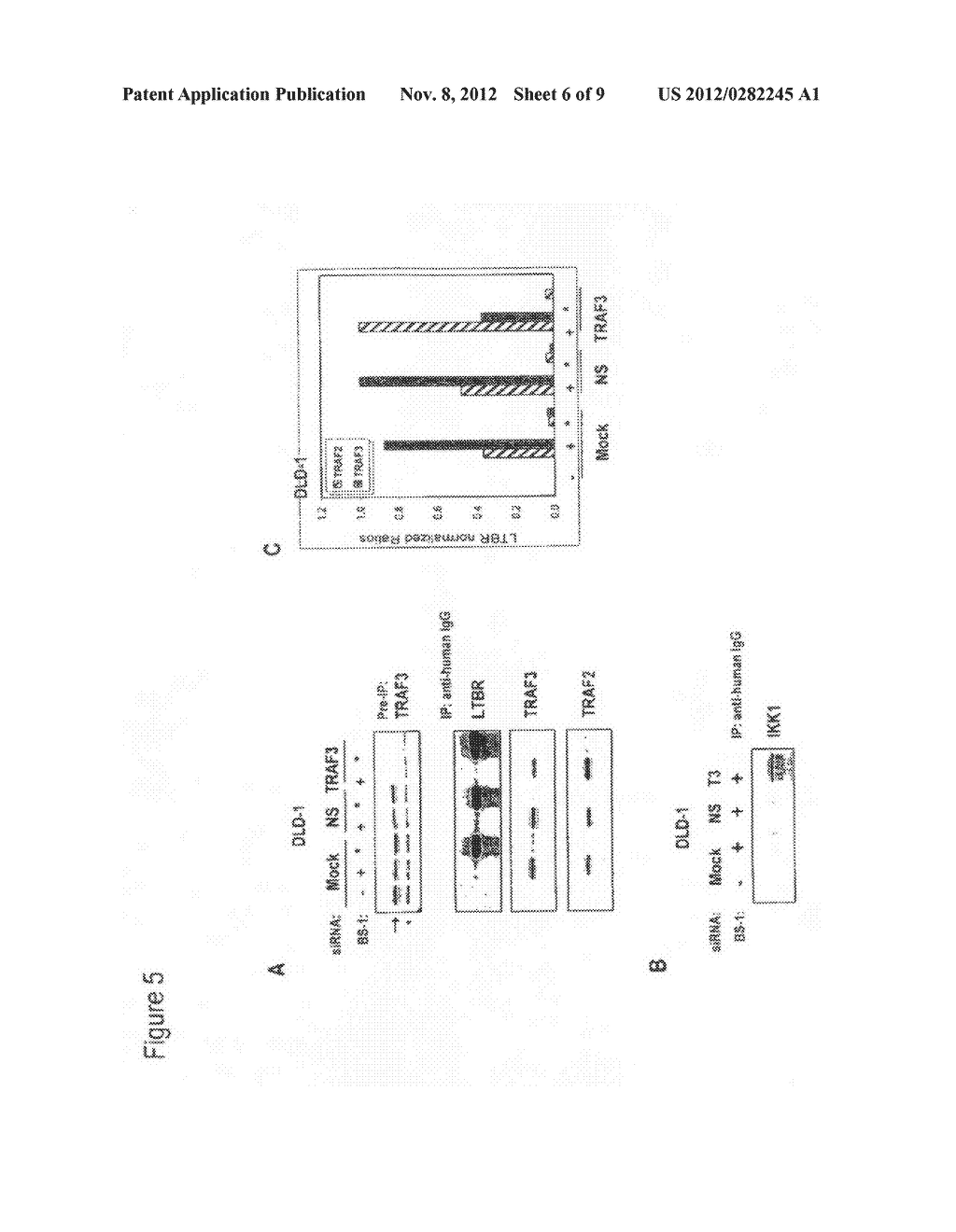 BIOMARKERS AND ASSAYS FOR THE TREATMENT OF CANCER - diagram, schematic, and image 07