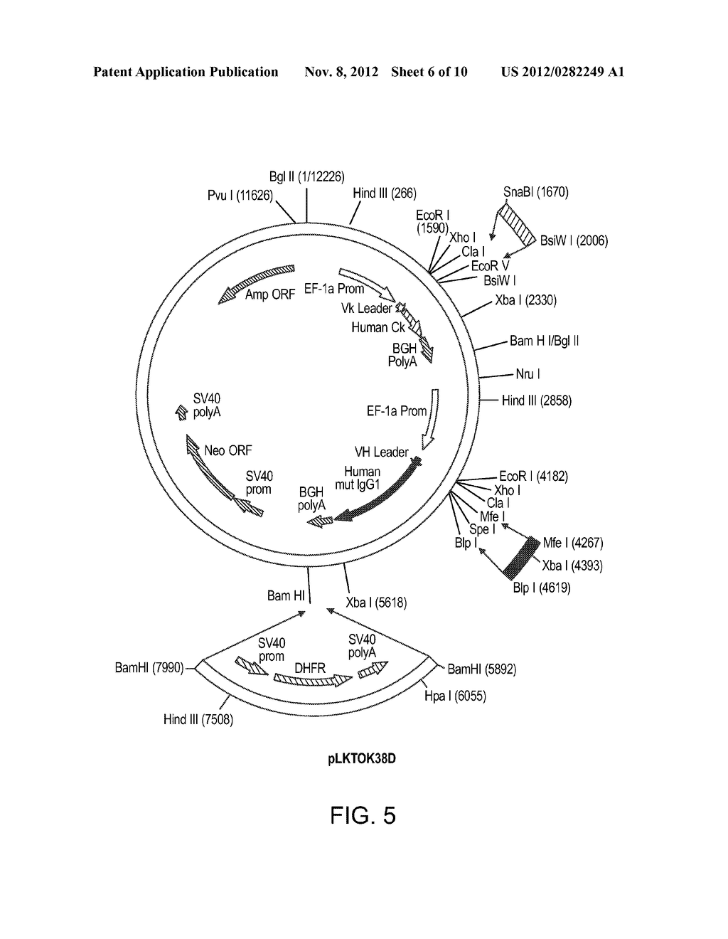 FORMULATION FOR ANTI-ALPHA4BETA7 ANTIBODY - diagram, schematic, and image 07