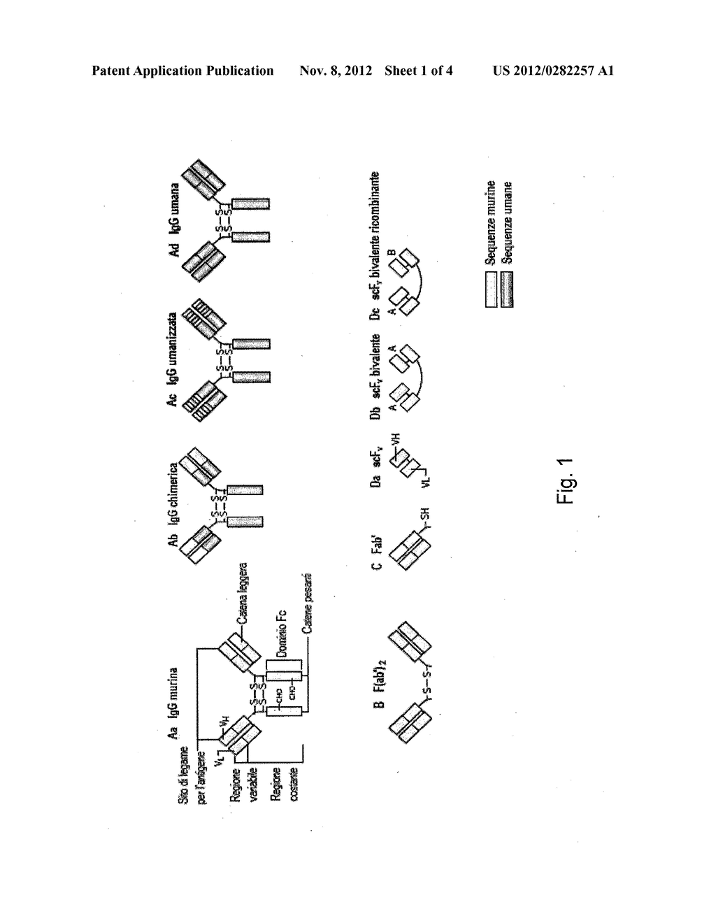 SINGLE-CHAIN VARIABLE FRAGMENT (SCFV) ABLE TO RECOGNIZE AND BIND CD99     HUMAN PROTEIN - diagram, schematic, and image 02