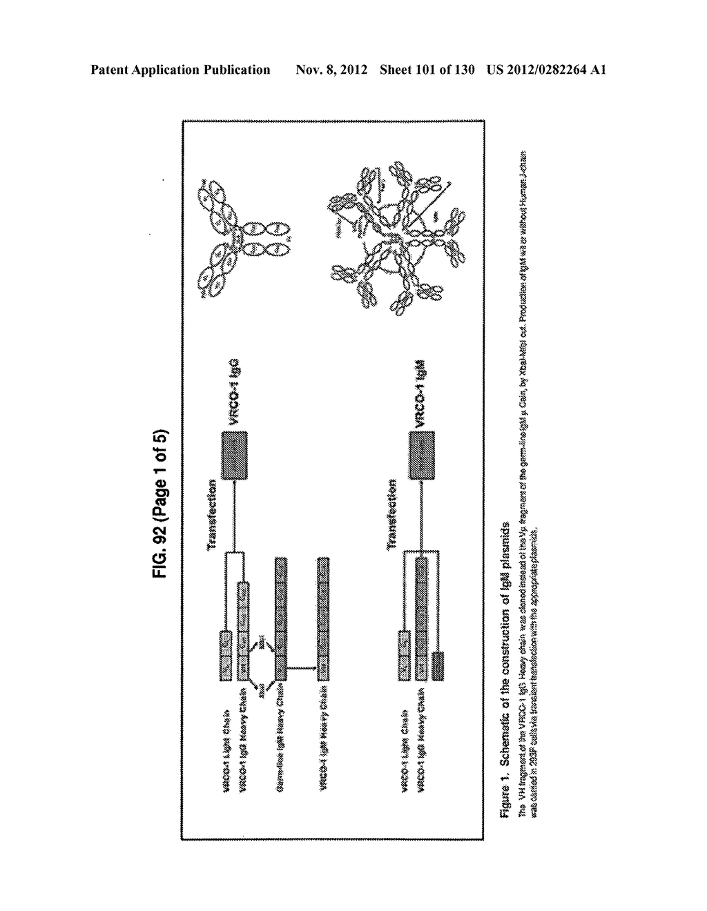 NEUTRALIZING ANTIBODIES TO HIV-1 AND THEIR USE - diagram, schematic, and image 102