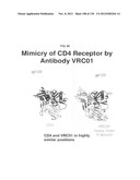 NEUTRALIZING ANTIBODIES TO HIV-1 AND THEIR USE diagram and image