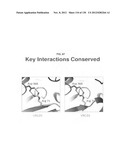 NEUTRALIZING ANTIBODIES TO HIV-1 AND THEIR USE diagram and image