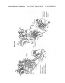 NEUTRALIZING ANTIBODIES TO HIV-1 AND THEIR USE diagram and image