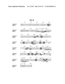 NEUTRALIZING ANTIBODIES TO HIV-1 AND THEIR USE diagram and image