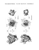 NEUTRALIZING ANTIBODIES TO HIV-1 AND THEIR USE diagram and image