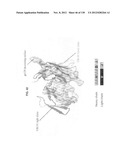 NEUTRALIZING ANTIBODIES TO HIV-1 AND THEIR USE diagram and image