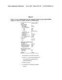 NEUTRALIZING ANTIBODIES TO HIV-1 AND THEIR USE diagram and image