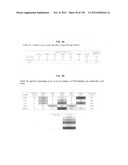 NEUTRALIZING ANTIBODIES TO HIV-1 AND THEIR USE diagram and image