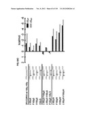 NEUTRALIZING ANTIBODIES TO HIV-1 AND THEIR USE diagram and image