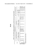 NEUTRALIZING ANTIBODIES TO HIV-1 AND THEIR USE diagram and image