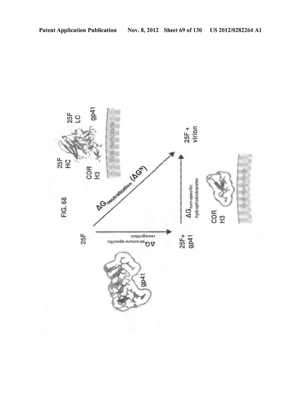 NEUTRALIZING ANTIBODIES TO HIV-1 AND THEIR USE - diagram, schematic, and image 70