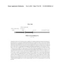 NEUTRALIZING ANTIBODIES TO HIV-1 AND THEIR USE diagram and image