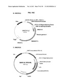 NEUTRALIZING ANTIBODIES TO HIV-1 AND THEIR USE diagram and image