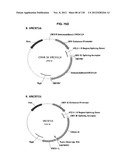 NEUTRALIZING ANTIBODIES TO HIV-1 AND THEIR USE diagram and image