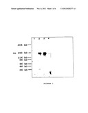 Method for Treating Arteriosclerosis diagram and image