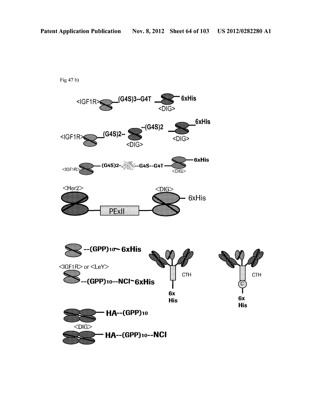 BI-SPECIFIC DIGOXIGENIN BINDING ANTIBODIES - diagram, schematic, and image 65