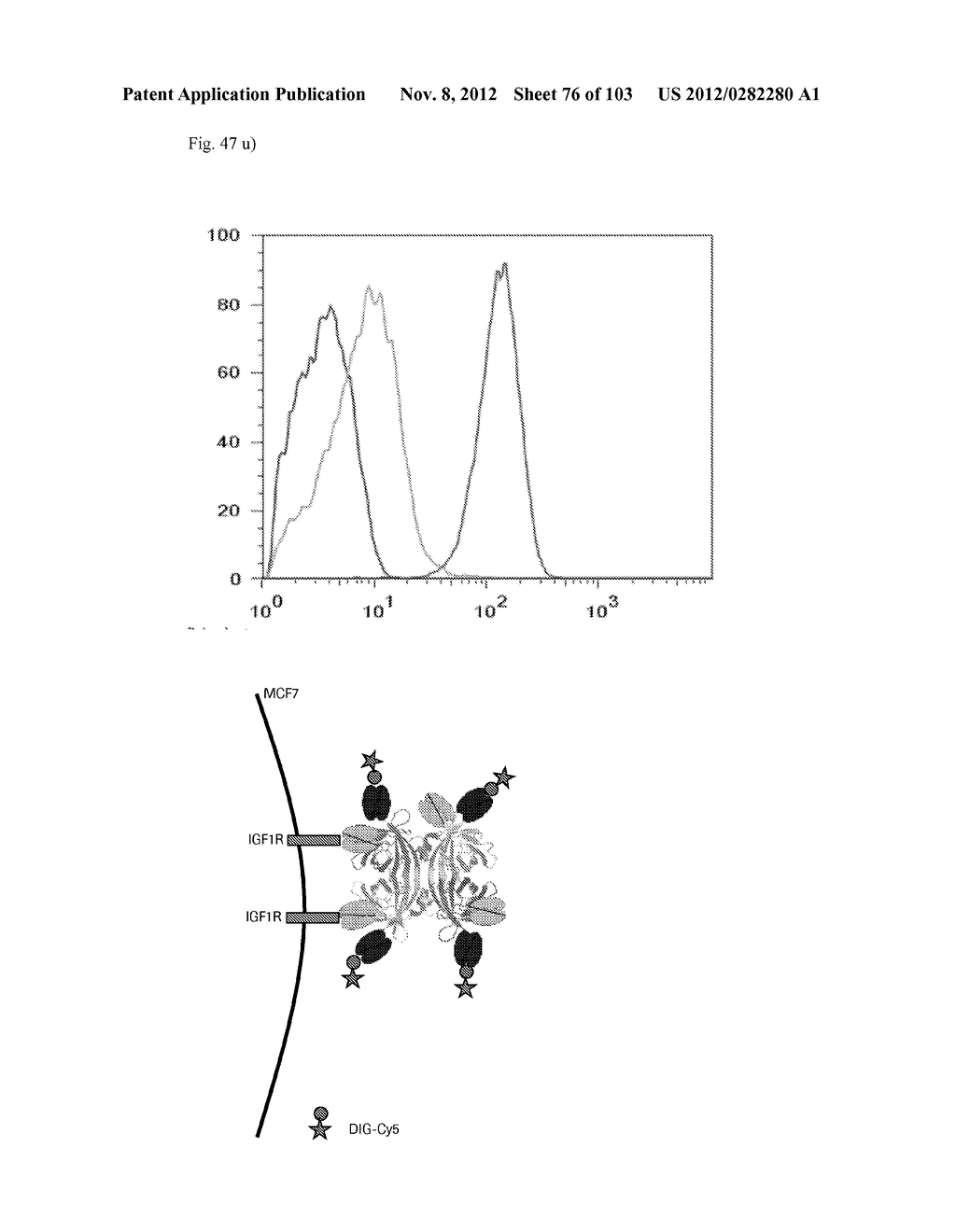 BI-SPECIFIC DIGOXIGENIN BINDING ANTIBODIES - diagram, schematic, and image 77