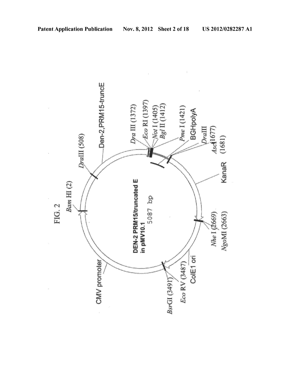 Novel Flavivirus Antigens - diagram, schematic, and image 03