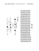 Recombinant Carrier Molecule for Expression, Delivery and Purification of     Target Polypeptides diagram and image