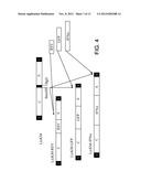 Recombinant Carrier Molecule for Expression, Delivery and Purification of     Target Polypeptides diagram and image