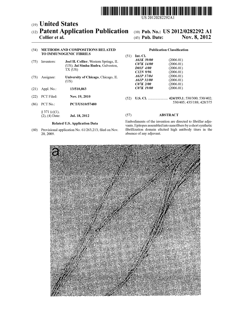 METHODS AND COMPOSITIONS RELATED TO IMMUNOGENIC FIBRILS - diagram, schematic, and image 01