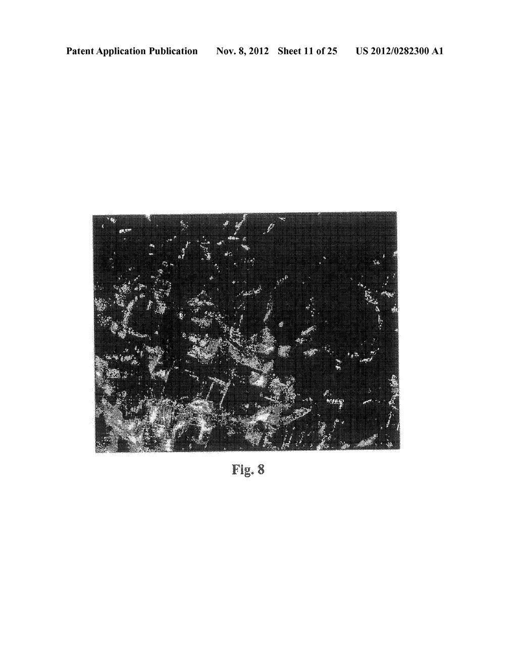 PROTEIN BIOMATERIALS AND BIOCOACERVATES AND METHODS OF MAKING AND USING     THEREOF - diagram, schematic, and image 12