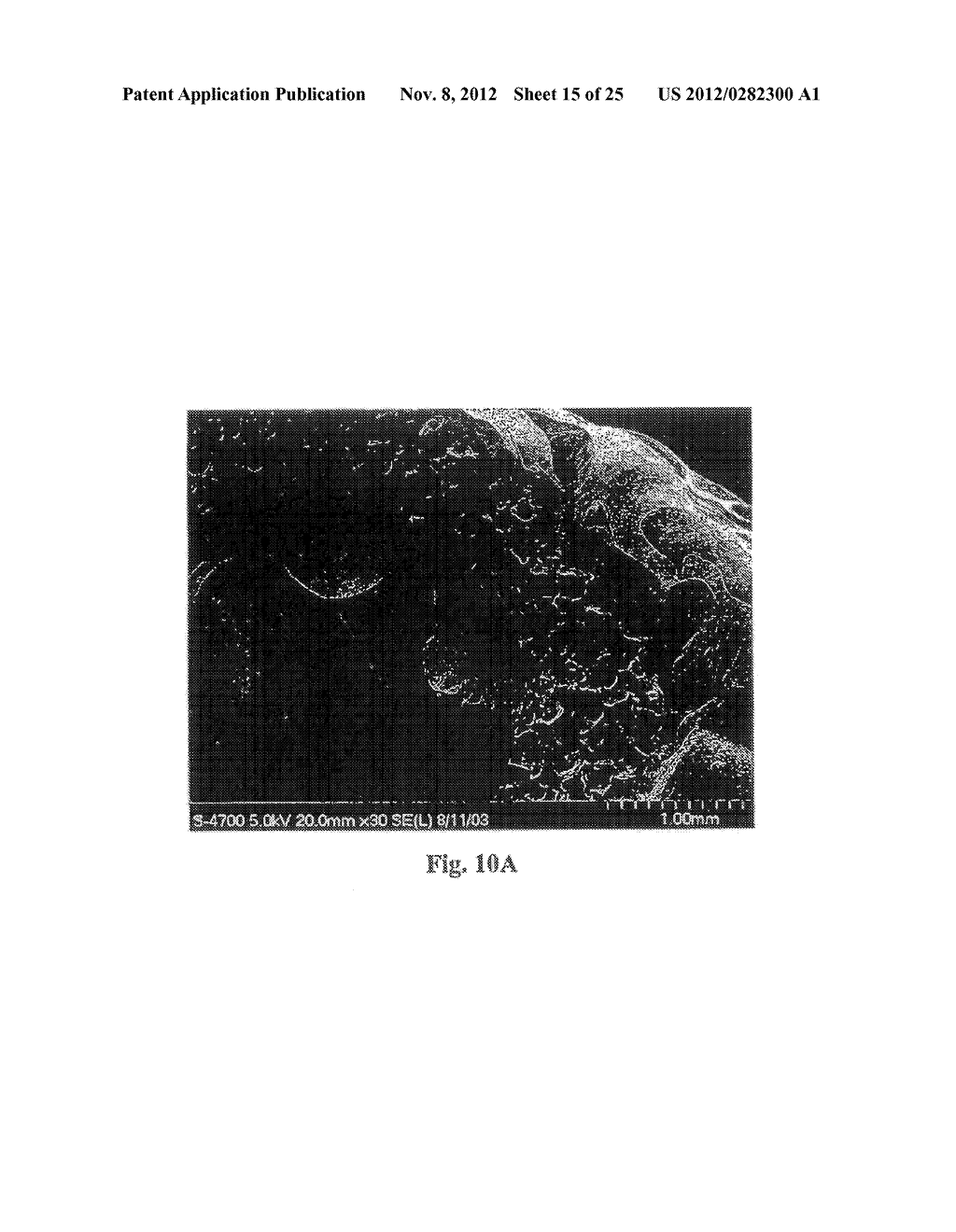 PROTEIN BIOMATERIALS AND BIOCOACERVATES AND METHODS OF MAKING AND USING     THEREOF - diagram, schematic, and image 16