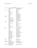 POROUS CALCIUM PHOSPHATE BONE MATERIAL diagram and image