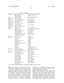 POROUS CALCIUM PHOSPHATE BONE MATERIAL diagram and image