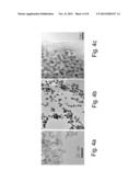 PHOSPHATE-CONTAINING NANOPARTICLE DELIVERY VEHICLE diagram and image