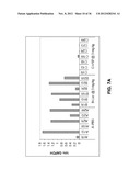 Lipid Formulated Compositions And Methods For Inhibiting Expression Of Eg5     And VEGF Genes diagram and image