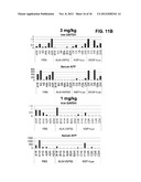 Lipid Formulated Compositions And Methods For Inhibiting Expression Of Eg5     And VEGF Genes diagram and image