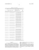 Lipid Formulated Compositions And Methods For Inhibiting Expression Of Eg5     And VEGF Genes diagram and image