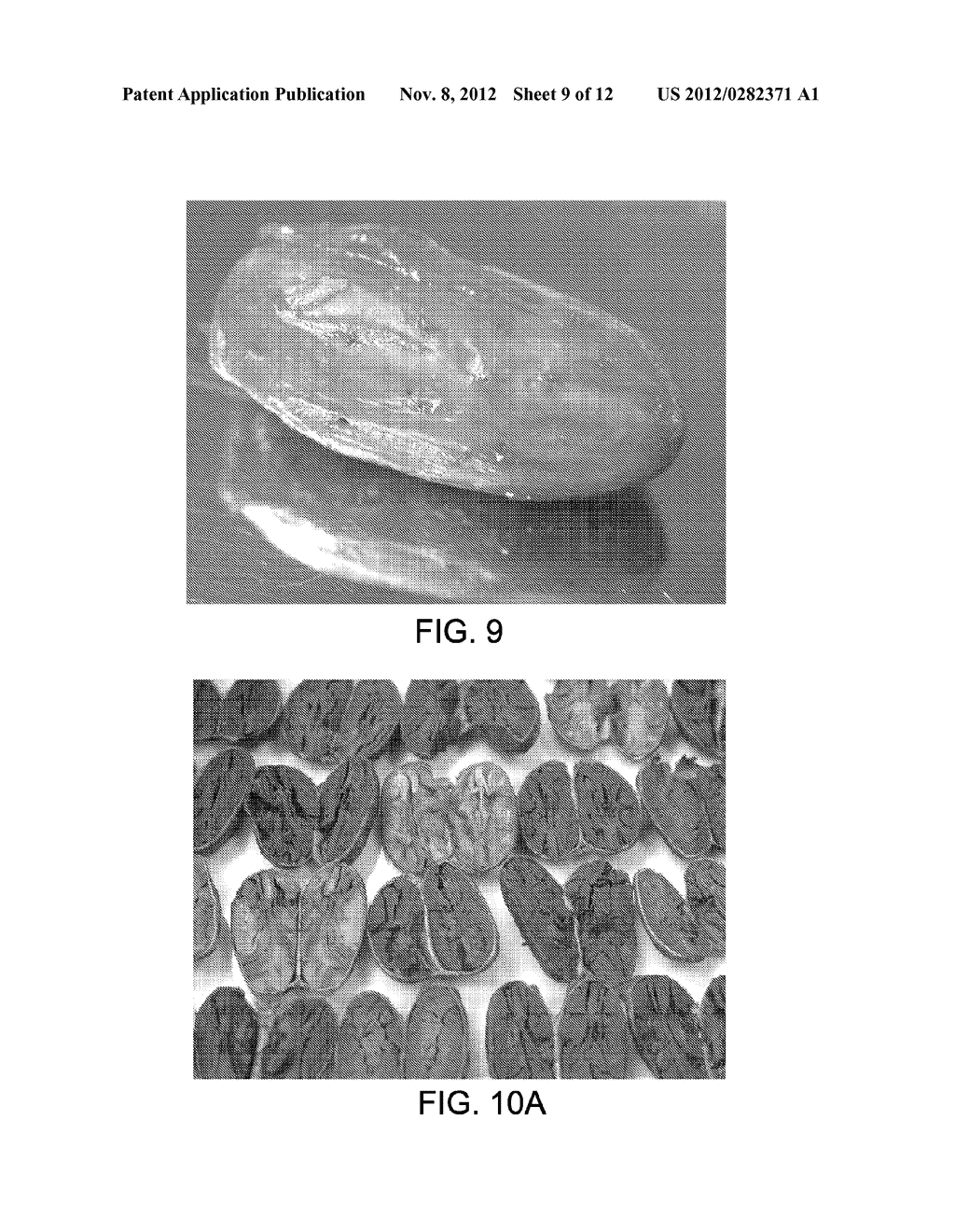 PROCESSING COCOA BEANS AND OTHER SEEDS - diagram, schematic, and image 10