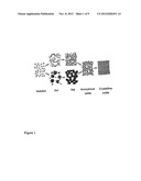 PIEZOELECTRIC FILM diagram and image