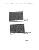 PIEZOELECTRIC FILM diagram and image