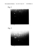 MEMBER HAVING HYDROGEN-CONTAINING, HARD, AMORPHOUS CARBON COATING AND ITS     PRODUCTION METHOD diagram and image