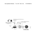 METAL AND CERAMIC NANOFIBERS diagram and image