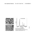 METAL AND CERAMIC NANOFIBERS diagram and image